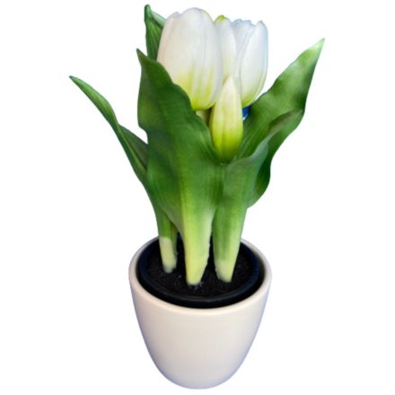Élethű tulipán kerámia kaspóban (fehér)